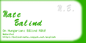 mate balind business card